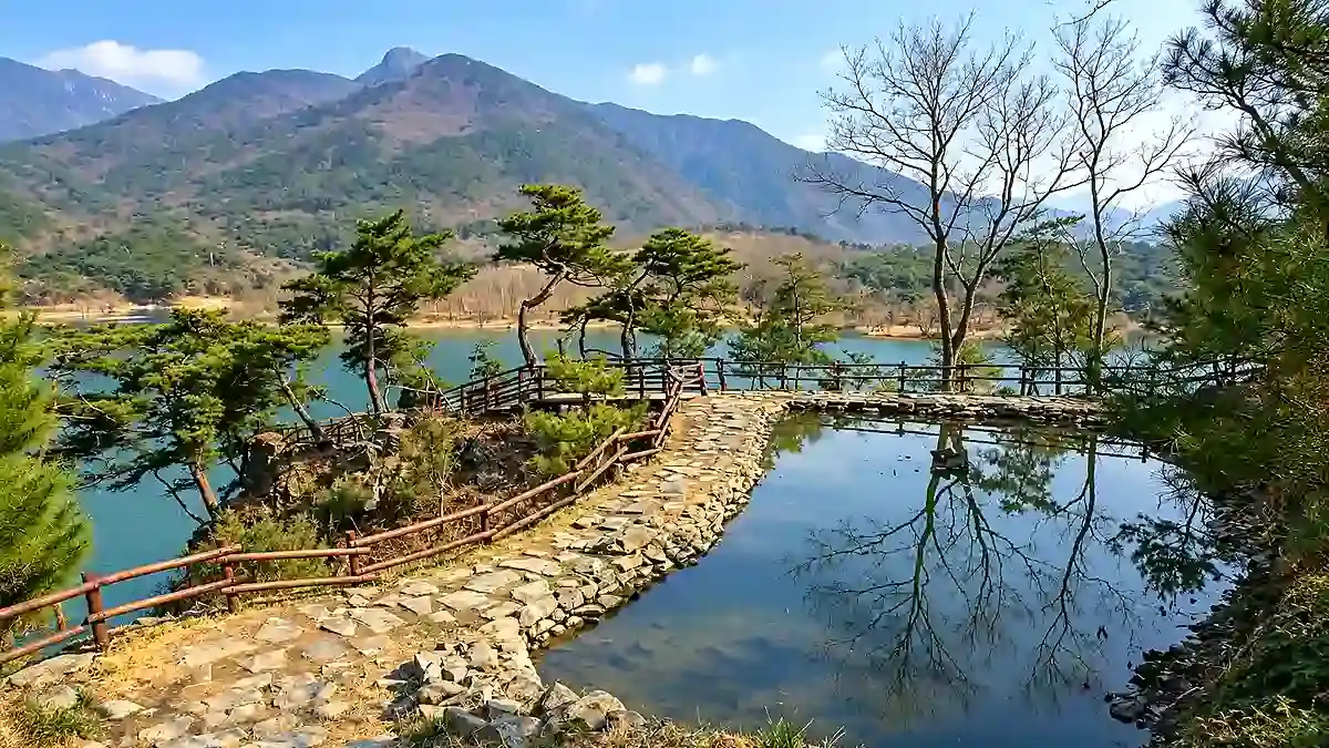 괴산호의 맑은 물빛과 소나무 숲이 어우러진 칠성면 산막이옛길 수변 산책로