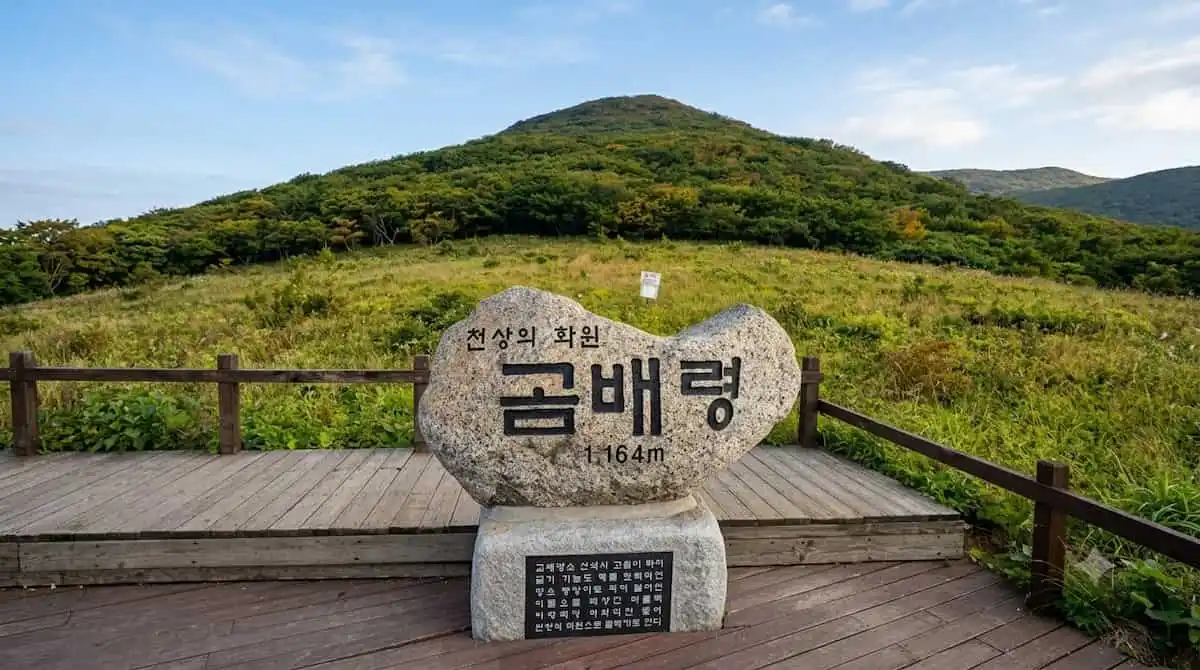 천상의 화원 곰배령 1164m 글자가 새겨진 정상부 표지석