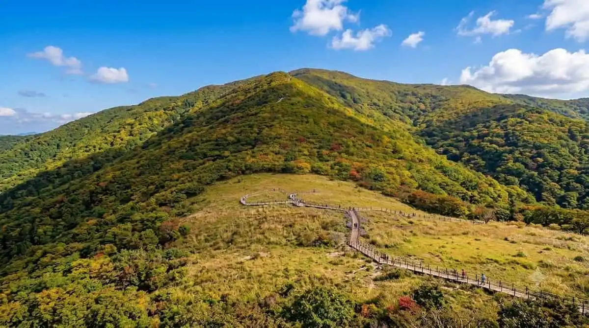 초가을 산 능선 아래 넓게 펼쳐진 점봉산 곰배령 고원과 데크 탐방로