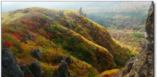 “오후 3시에 가면 못 오른다”… 한라산, 10월부터 입산 마감 최대 3시간 당겨 붉고 노란 단풍으로 물든 가을 한라산 능선