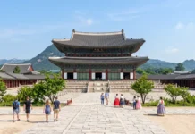 인천공항 환승 3시간이면 신포시장, 5시간이면 경복궁…공항 밖 투어 이렇게 고른다 인천공항 5시간 환승투어로 방문하는 서울 경복궁