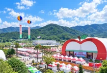 “한우 20~30% 싸게 사서 바로 굽는다”… 장수 한우랑사과랑축제, 13일 ‘마지막 날’ 맑은 가을 하늘 아래 펼쳐진 제20회 장수 한우랑사과랑축제 누리파크 일원 전경