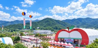 “한우 20~30% 싸게 사서 바로 굽는다”… 장수 한우랑사과랑축제, 13일 ‘마지막 날’ 맑은 가을 하늘 아래 펼쳐진 제20회 장수 한우랑사과랑축제 누리파크 일원 전경