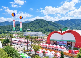“한우 20~30% 싸게 사서 바로 굽는다”… 장수 한우랑사과랑축제, 13일 ‘마지막 날’ 맑은 가을 하늘 아래 펼쳐진 제20회 장수 한우랑사과랑축제 누리파크 일원 전경