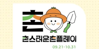 “제주 왔는데 관광지만 돈다?”… 서귀포 숲·바다·마을 체험 30% 할인 2026 서귀포 농촌크리에이투어 촌스러운 촌플레이 가을 기획전 이미지