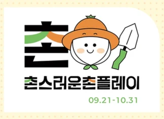 “제주 왔는데 관광지만 돈다?”… 서귀포 숲·바다·마을 체험 30% 할인 2026 서귀포 농촌크리에이투어 촌스러운 촌플레이 가을 기획전 이미지