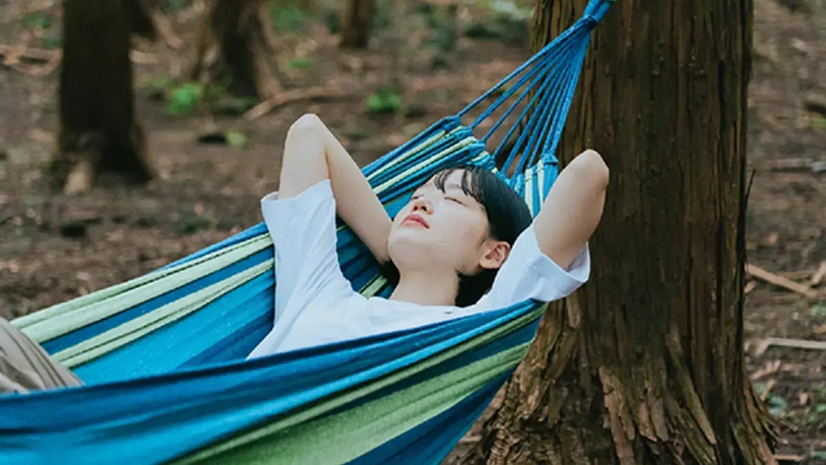 서귀포 숲에서 해먹에 누워 휴식하는 산림치유 프로그램 참가자