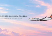 “티웨이 간판 내렸다”… 새 이름 단 트리니티항공, 최대 18% 할인 첫 이륙 새로운 트리니티항공 CI가 적용된 항공기