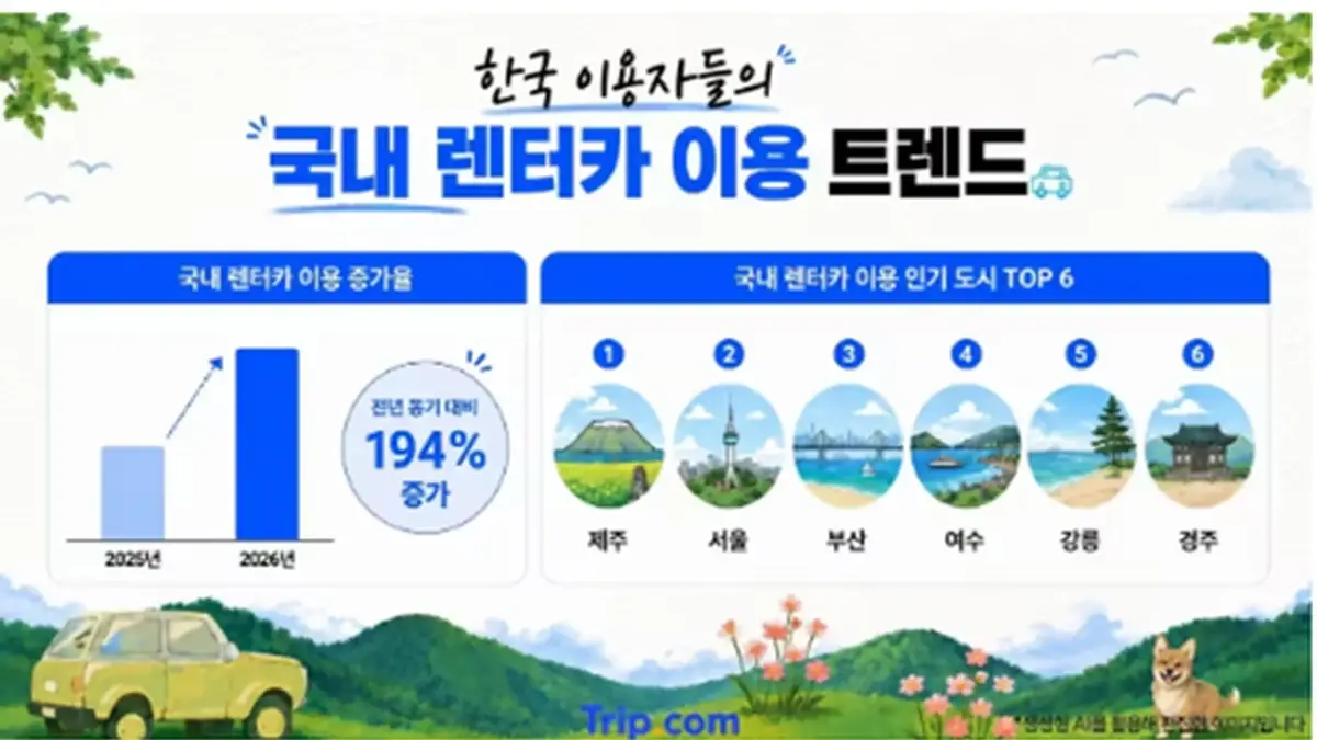 한국 이용자 국내 렌터카 이용 증가율과 인기 도시 인포그래픽