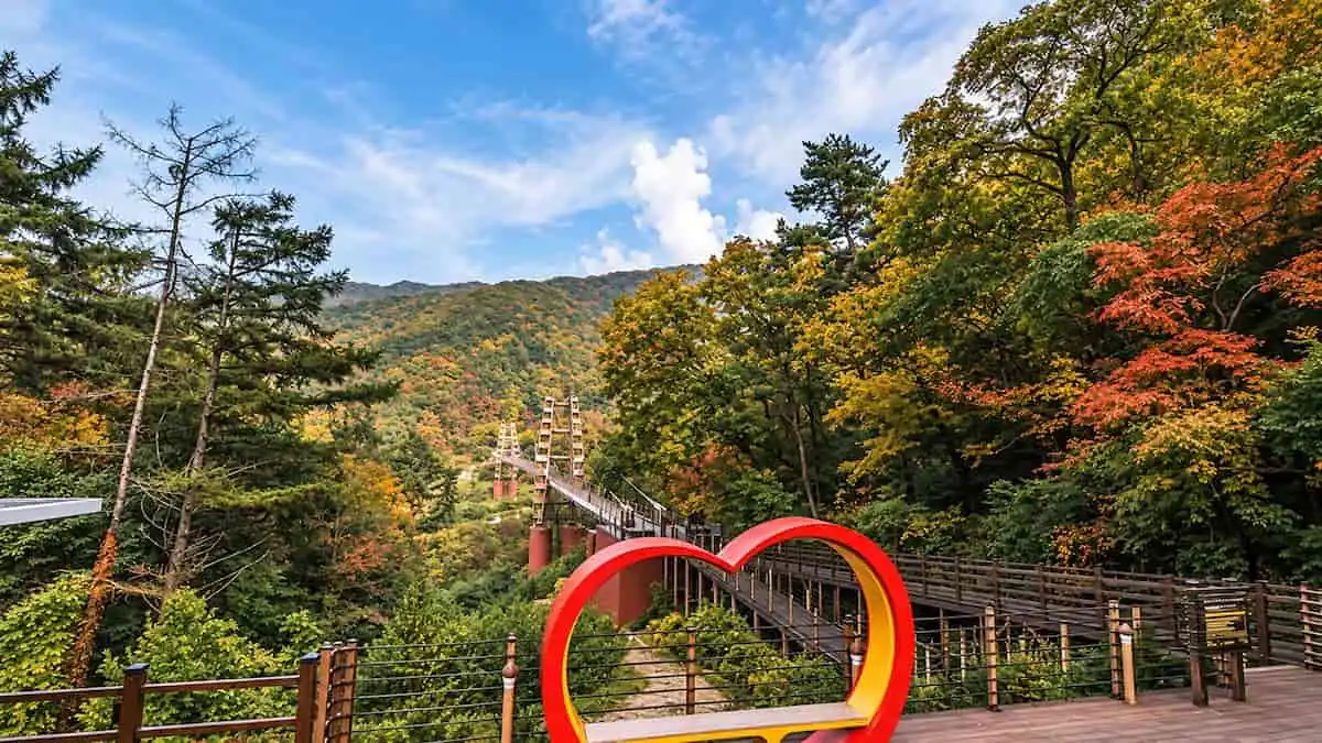 숲길 포토존 뒤로 보이는 좌구산 명상구름다리