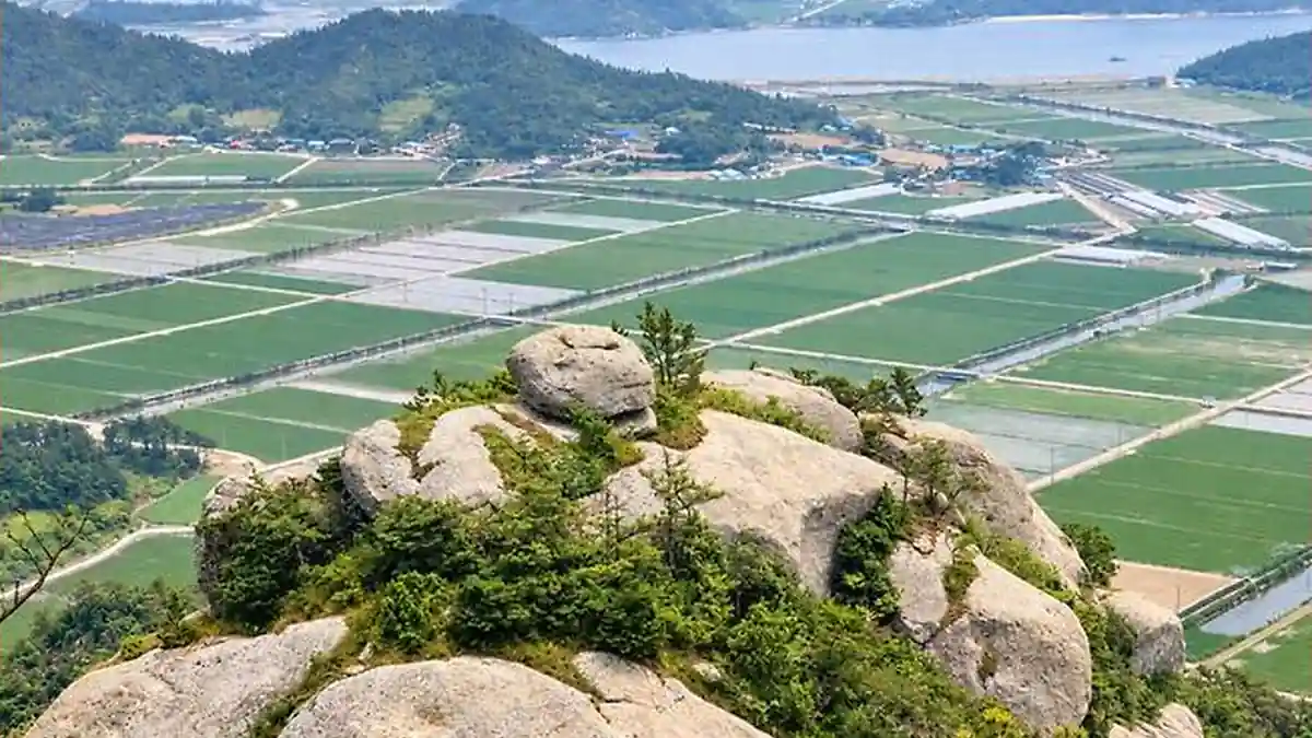 비금도 산 위에서 내려다본 들녘과 바다