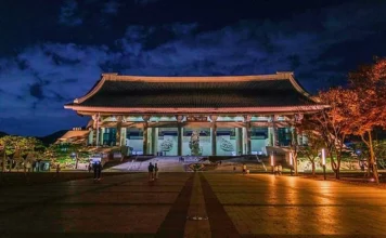 3.2km 붉은 터널에 빛이 내린다… 천안 독립기념관 단풍나무숲길 야간 기행 조명이 켜진 천안 독립기념관 겨레의 집 야경
