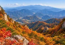 80m 허공 다리 건너 51도 암벽 계단으로… 대둔산의 절정은 정상보다 ‘오르는 길’에 있다 화강암 암봉과 깊은 계곡이 이어지는 완주 대둔산도립공원 전경
