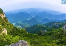 “구름다리 건넜더니 51도 계단”… 대둔산, 가을에 더 아찔한 이유 완주 대둔산도립공원 암봉과 계곡 전경