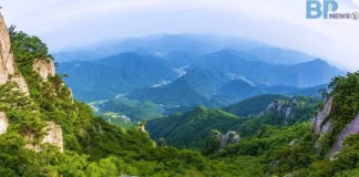 “구름다리 건넜더니 51도 계단”… 대둔산, 가을에 더 아찔한 이유 완주 대둔산도립공원 암봉과 계곡 전경