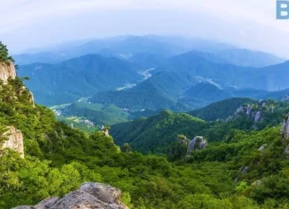 “구름다리 건넜더니 51도 계단”… 대둔산, 가을에 더 아찔한 이유 완주 대둔산도립공원 암봉과 계곡 전경