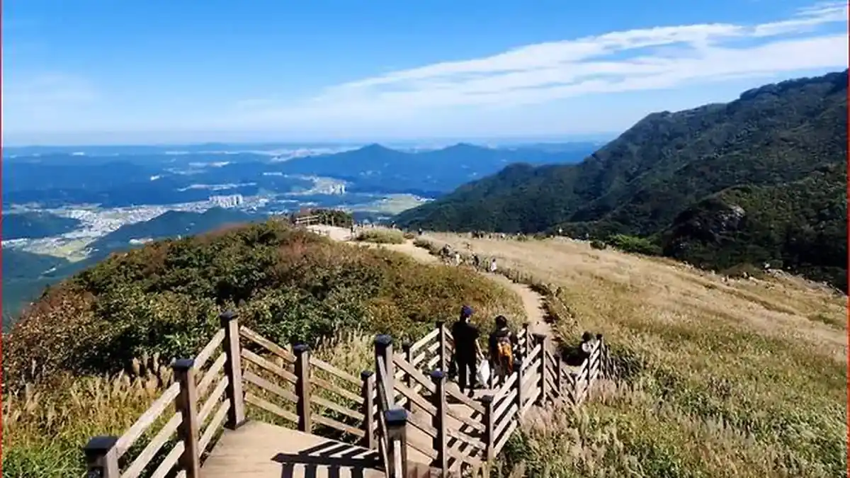 간월재 억새평원을 따라 내려가는 데크길