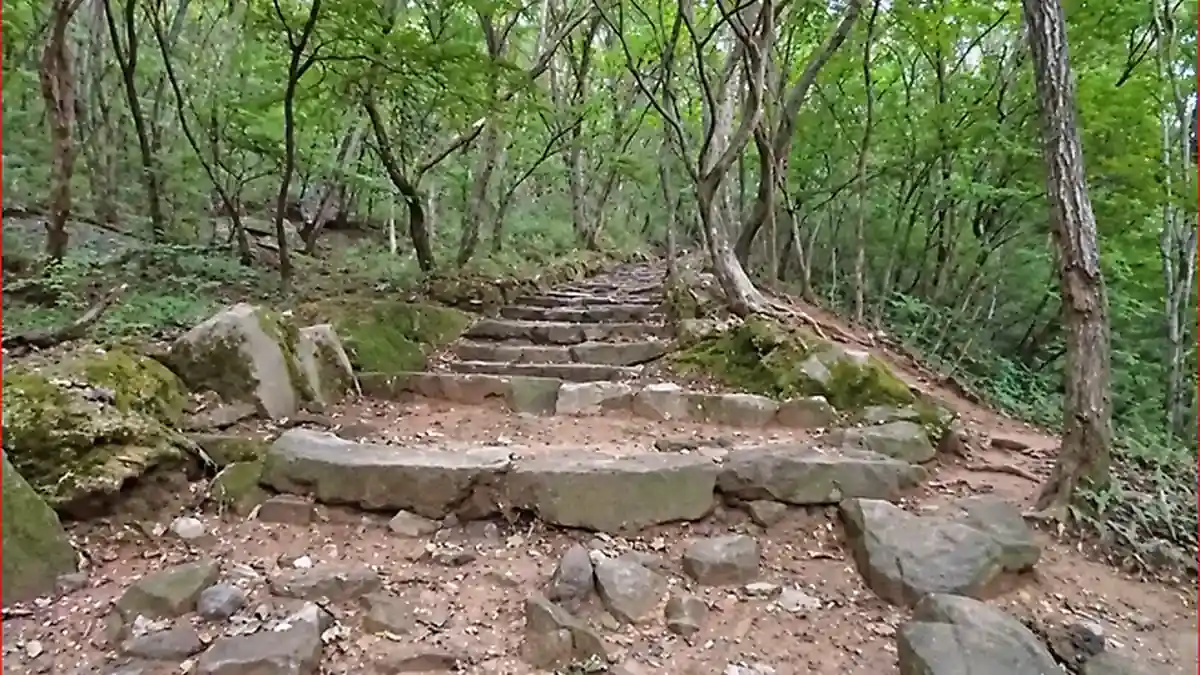 간월재로 이어지는 숲속 돌길