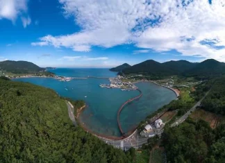 “3.5km 내내 바다가 따라온다”… 거제 여차~홍포, 천천히 달려야 보이는 길 거제 여차 홍포 해안도로와 남해 다도해 전경