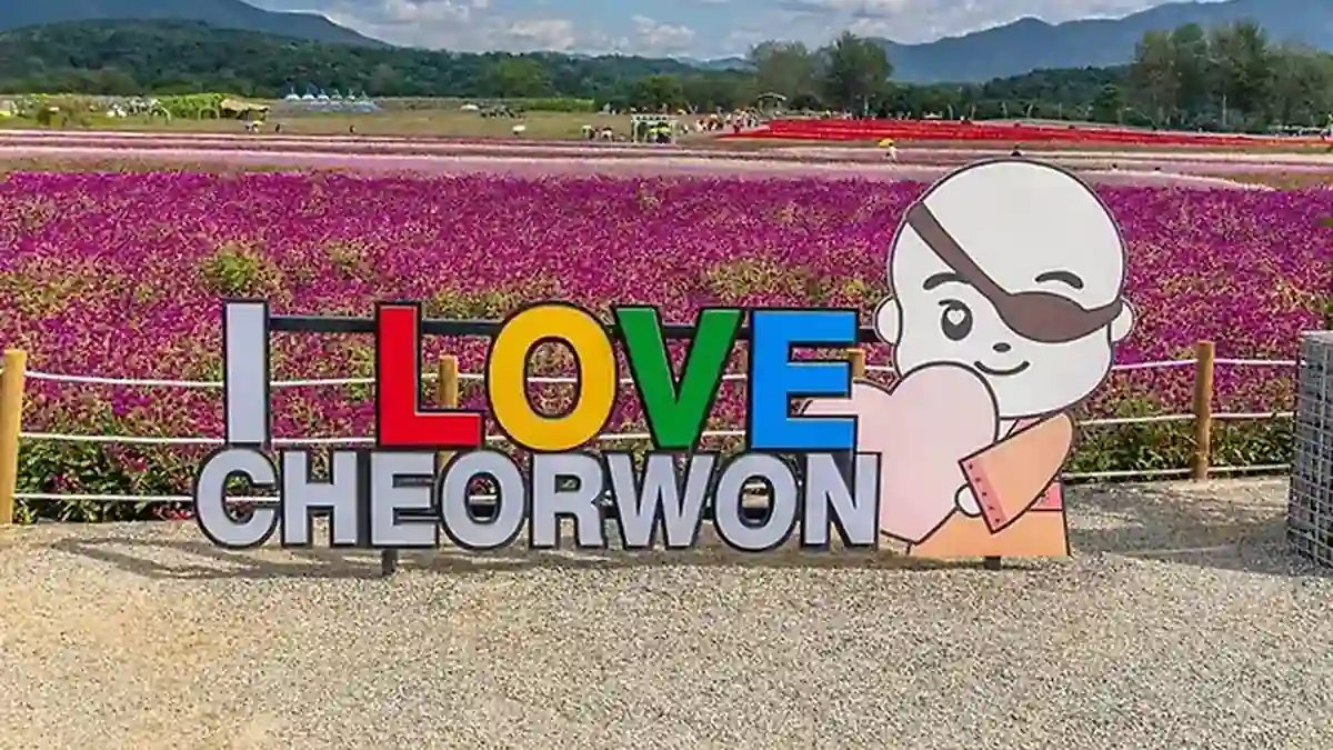 철원 고석정 꽃밭의 기념사진 촬영 공간과 뒤로 펼쳐진 꽃밭
