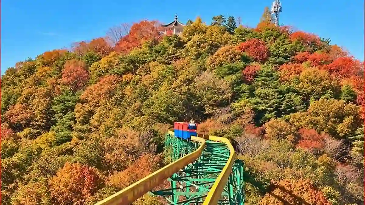 광주 지산유원지 단풍 숲을 향해 이어지는 모노레일 궤도
