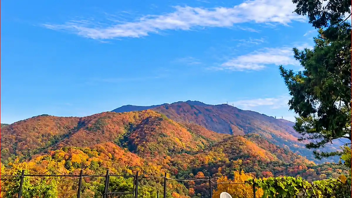 광주 지산유원지에서 바라본 가을 산 능선