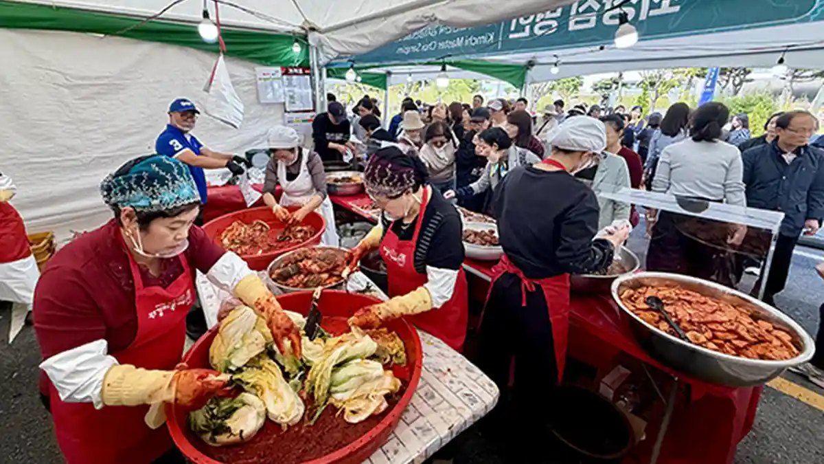 광주김치축제에서 배추에 양념을 버무리는 참가자들