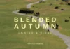 해비치 ‘Blended Autumn’, 차 한 잔으로 가을을 늦춘다…제주·롤링힐스 웰니스 여행