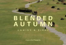 해비치 ‘Blended Autumn’, 차 한 잔으로 가을을 늦춘다…제주·롤링힐스 웰니스 여행
