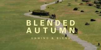 해비치 ‘Blended Autumn’, 차 한 잔으로 가을을 늦춘다…제주·롤링힐스 웰니스 여행