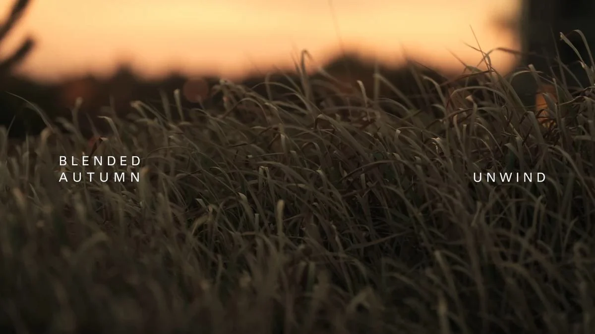 노을빛 속 가을 억새와 Blended Autumn 캠페인 이미지