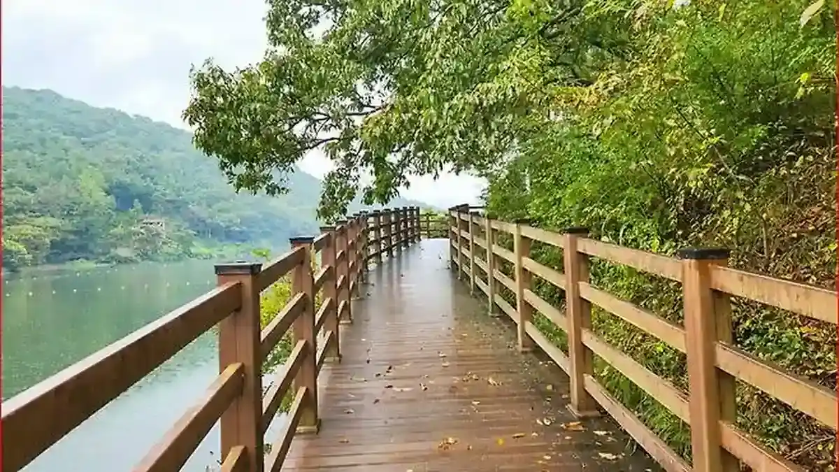 함안 입곡저수지를 따라 이어지는 나무 데크 산책로