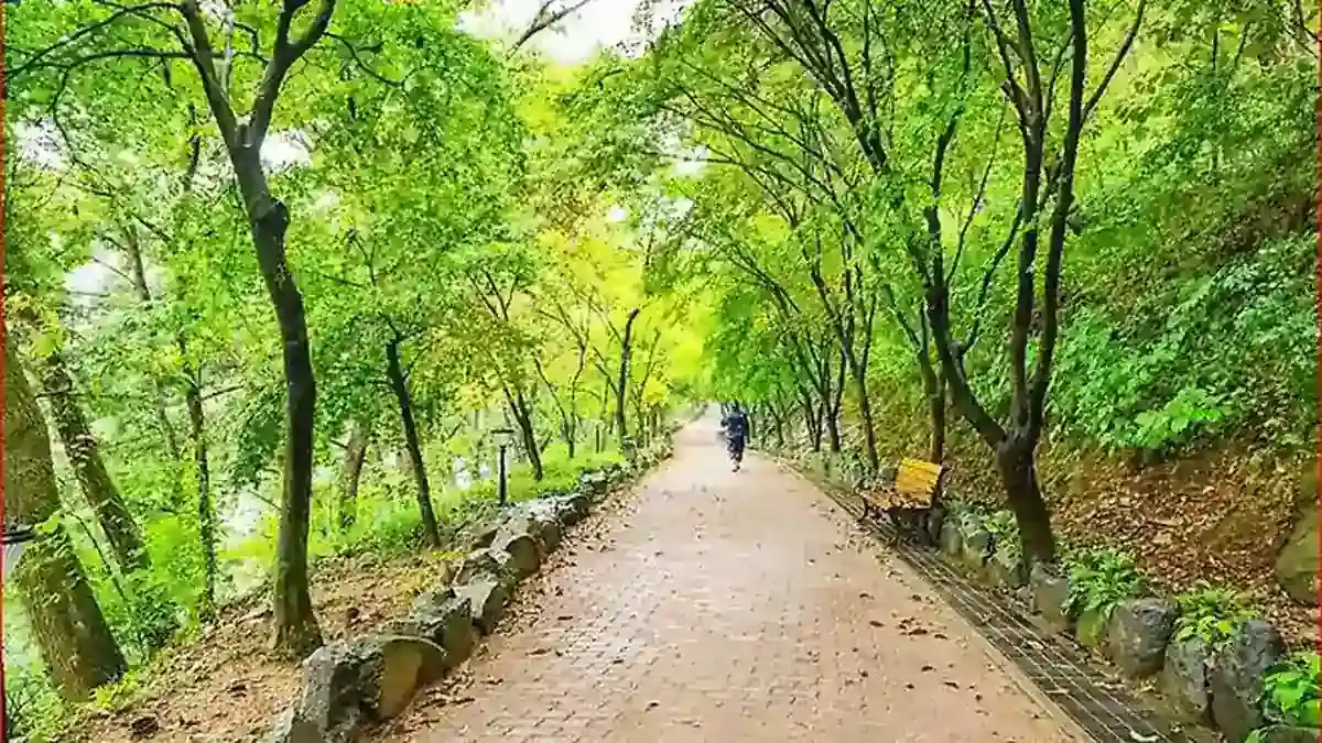 함안 입곡군립공원 숲길 산책로