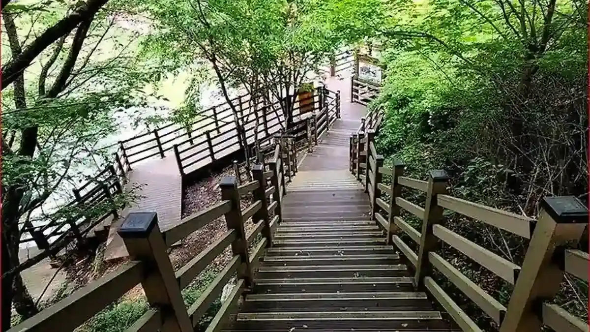 함안 입곡군립공원 숲속 데크 계단