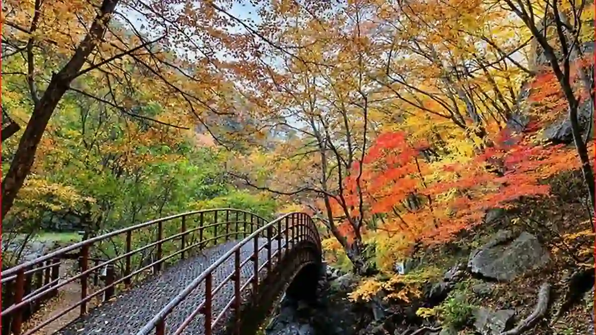 가을 숲과 바위 사이를 잇는 희방계곡 보행교