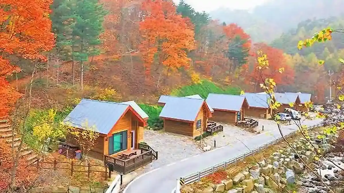 단풍 든 산자락을 따라 자리한 정선 산림생태문화체험단지 숙박동