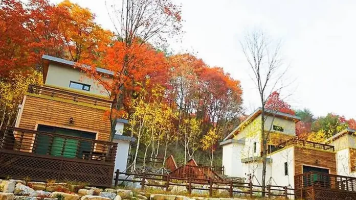 붉고 노란 단풍에 둘러싸인 정선 산림생태문화체험단지 숙박시설