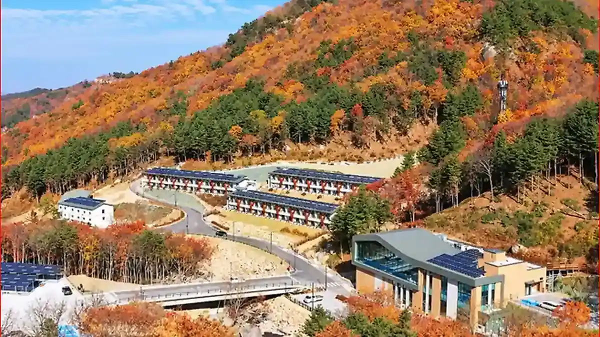 붉고 노란 단풍으로 물든 국립진안고원산림치유원과 주변 산림