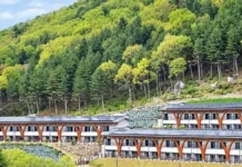 “4인실 7만5000원, 식사는 8000원”… 해발 650m 진안고원에서 쉬는 법 국립진안고원산림치유원 숙박동과 고원 숲 전경