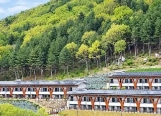 “4인실 7만5000원, 식사는 8000원”… 해발 650m 진안고원에서 쉬는 법 국립진안고원산림치유원 숙박동과 고원 숲 전경