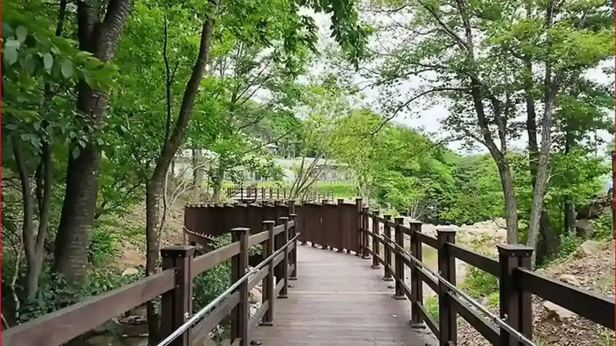 백운동 계곡과 산림 사이로 이어지는 국립진안고원산림치유원 데크 산책로