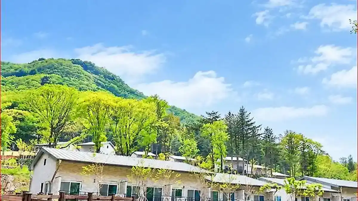 숲으로 둘러싸인 국립진안고원산림치유원 숙박동 전경