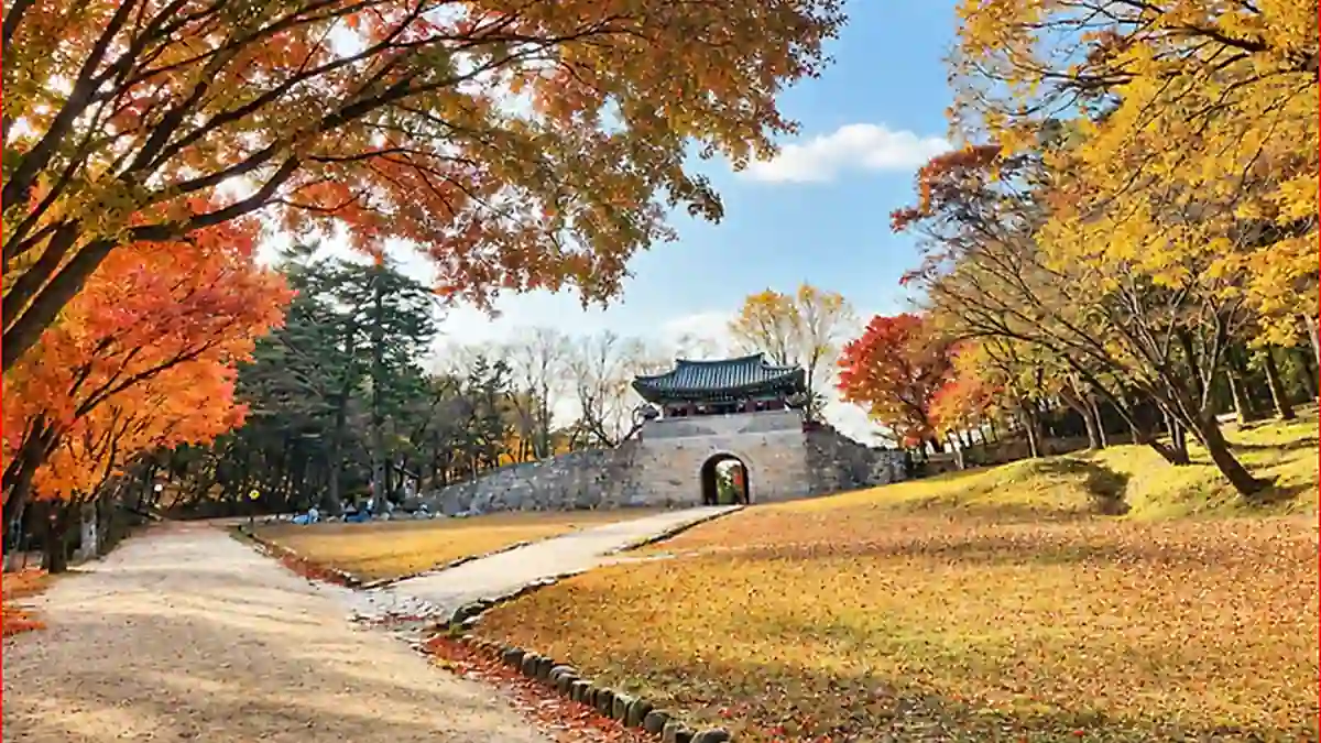 가을 나무 사이로 보이는 성문과 산책길
