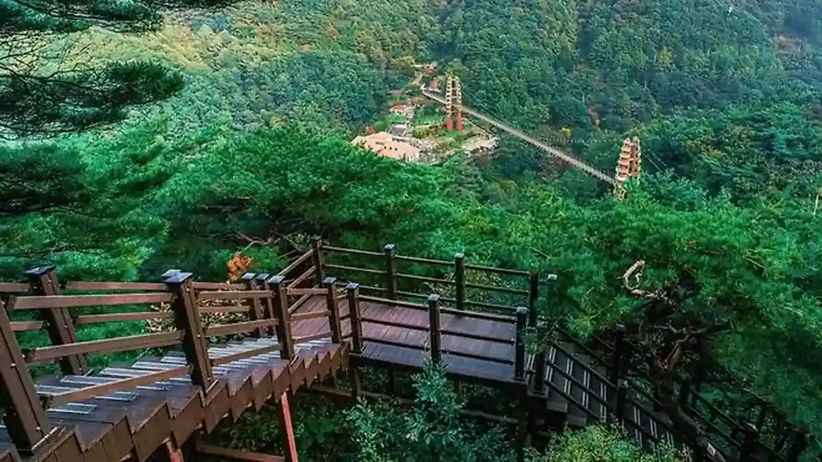 좌구산 자연휴양림 숲속 데크길과 명상구름다리 전망