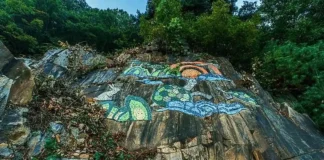 “230m 허공을 걷는다”… 증평 좌구산, 130m 출렁이는 가을 숲길 증평 좌구산 명상구름다리와 숲 풍경