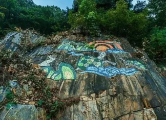 “230m 허공을 걷는다”… 증평 좌구산, 130m 출렁이는 가을 숲길 증평 좌구산 명상구름다리와 숲 풍경