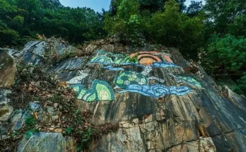 “230m 허공을 걷는다”… 증평 좌구산, 130m 출렁이는 가을 숲길 증평 좌구산 명상구름다리와 숲 풍경