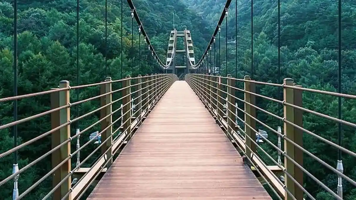 증평 좌구산 명상구름다리 보행로