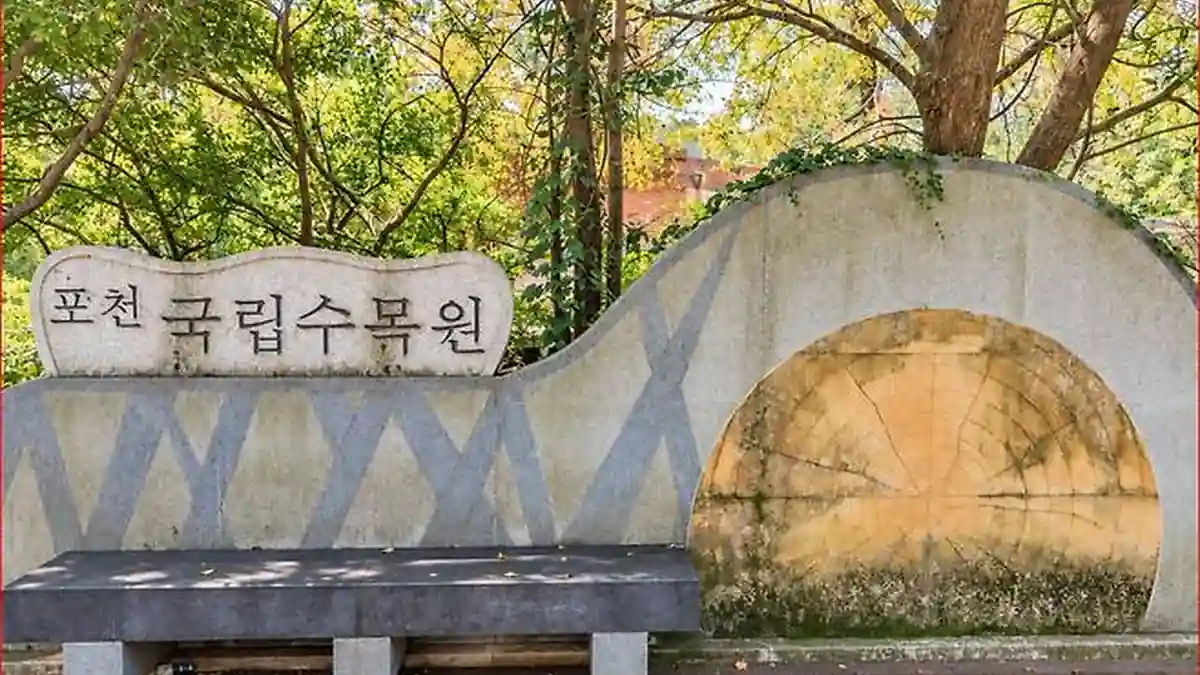포천 국립수목원 글자가 새겨진 숲속 표지석