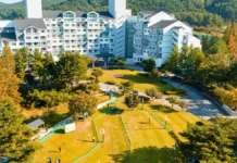 금호설악리조트 파크골프 대회 24일 개최…저녁엔 바비큐·버스킹 금호설악리조트 파크골프장 전경